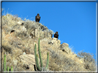 foto Canyon del Colca